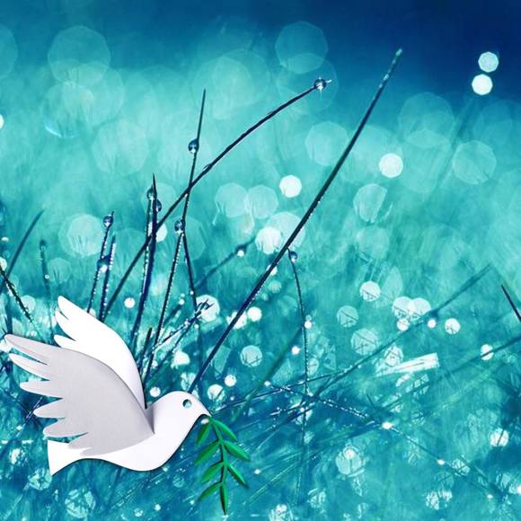 Meet your Posher, Fatima - Picture 1 of 1